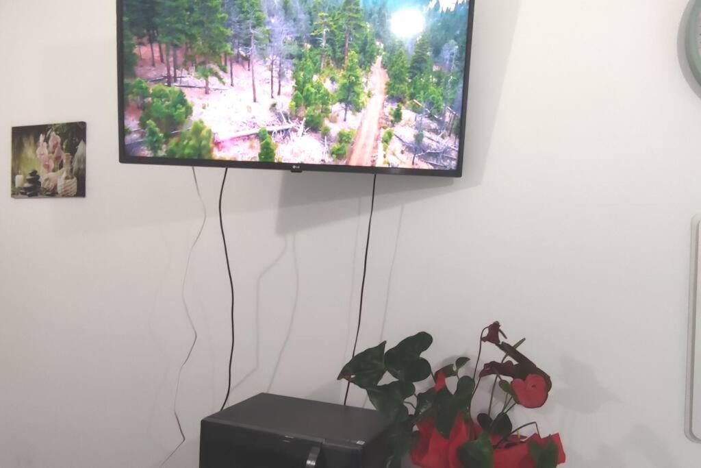 Apartament Bruno'S House Pescara Zewnętrze zdjęcie