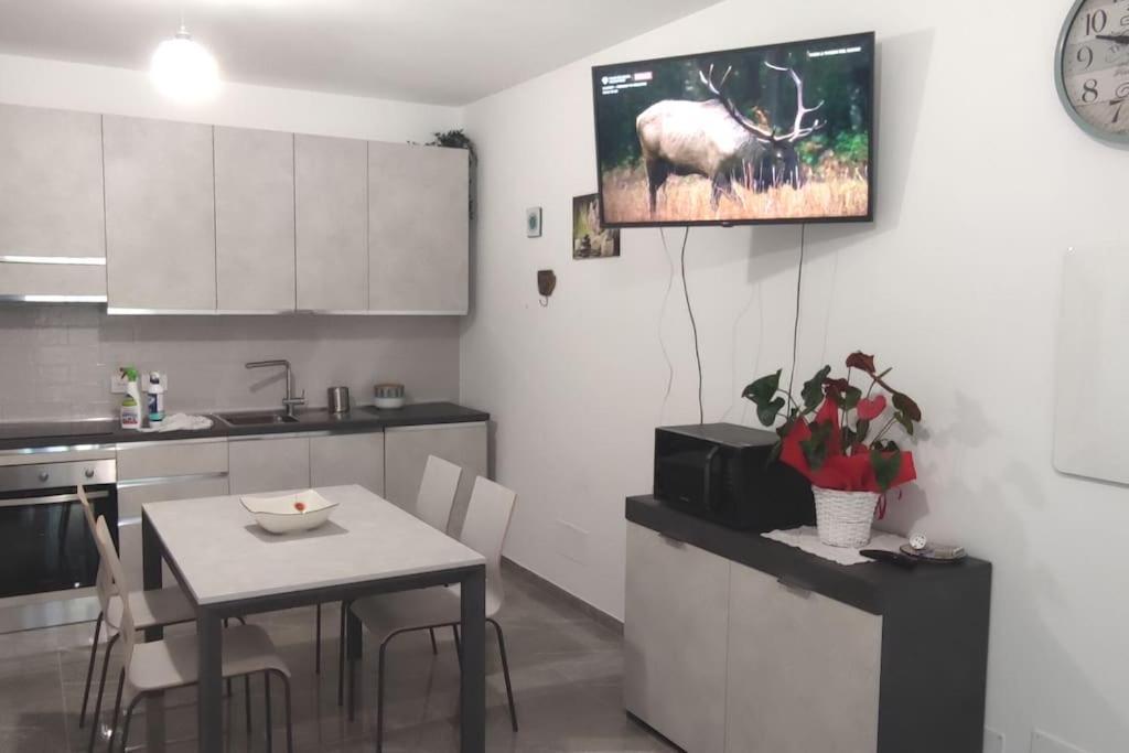 Apartament Bruno'S House Pescara Zewnętrze zdjęcie